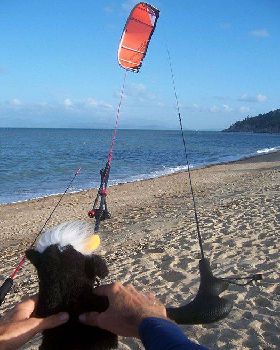 Relaunching Nomad 11m with soft toy