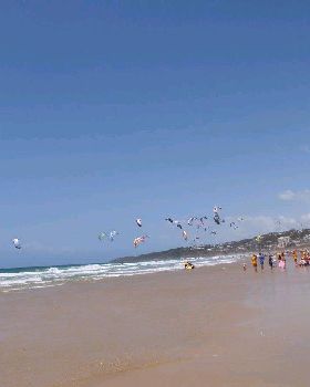 Downwinder race start