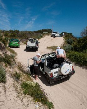 Robe - Nationals