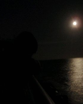 night ally 031