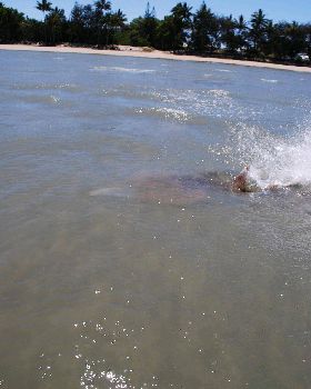 Kitesurfing