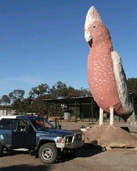 giant-galah
