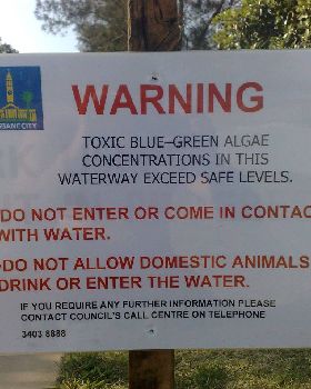 Sandgate Warning Sign