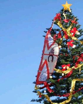 This seasons christmas tree decoration