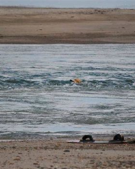 Kitesurfing