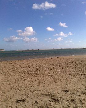 Murray Mouth5
