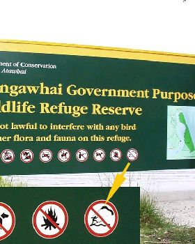 Kite ban at Mangawhai