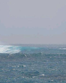 SEb Big wave