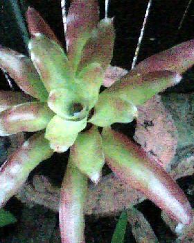 Image009