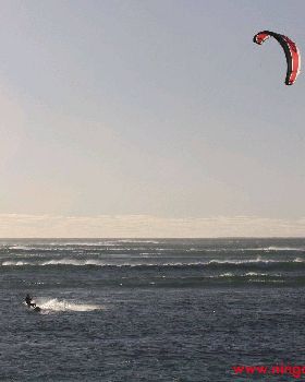www.ningalooexcape.com.au