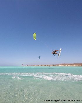 www.ningalooexcape.com.au