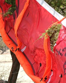 Kite in the bush - Need Kitefix