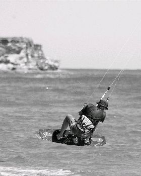Box head Umina
