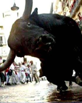 running-with-the-bulls1