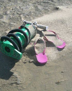 windswept beach
