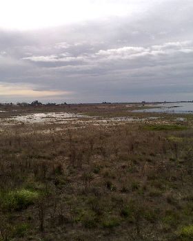 Milang7
