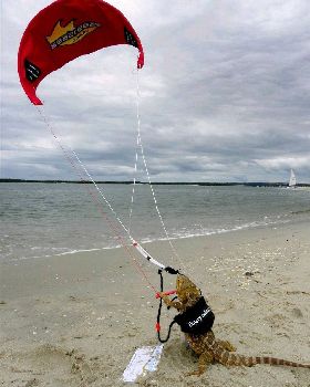 Kitesurfing