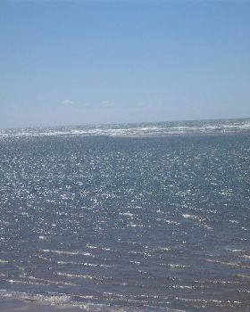 alva 2010 006