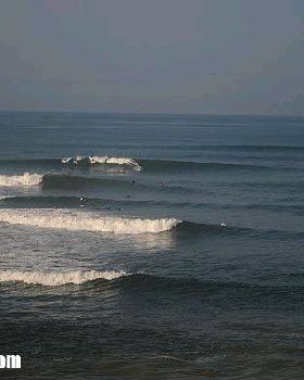 bali08