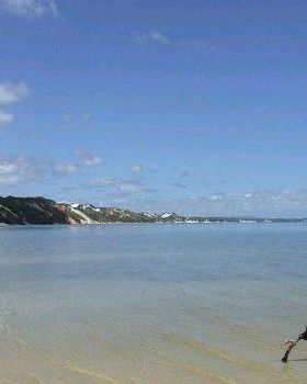 elimbeach
