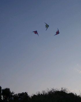 P8300393
