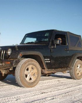The trusty steed
