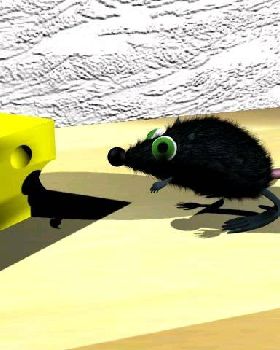 maus