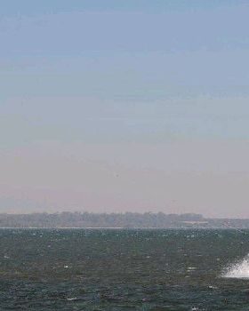 KB101231 1339