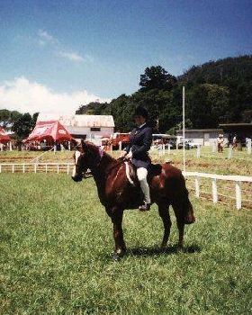 show pony