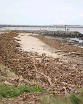 Debris at Brighton