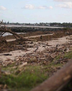 Debris at Brighton