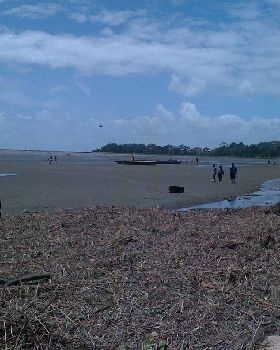 Sandgate Beach Clean up after flood