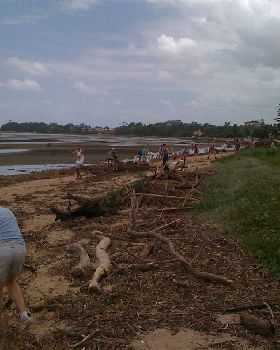 Sandgate Beach Clean up after flood