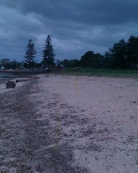 Sandgate Beach Clean up after flood