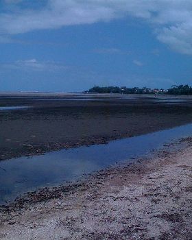 Sandgate Beach Clean up after flood