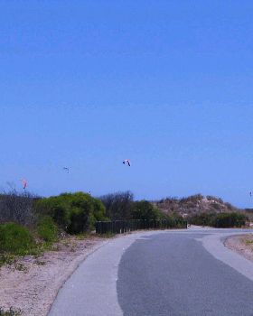 Kites at woodies