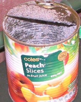 Peaches2