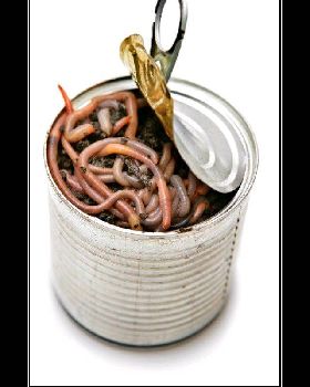 can-of-worms-demotivational-poster-1229709370