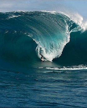 Big Wave AWards