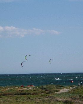 Course Racing