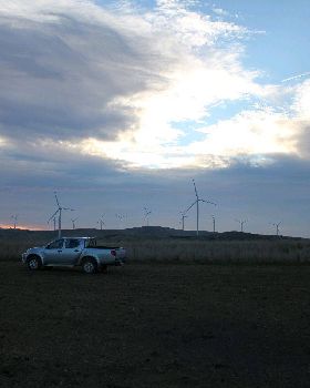 woodlawn wind farm