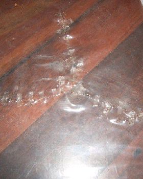 Bladder repair