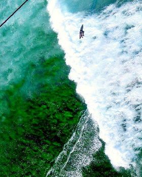 Sydney green reef