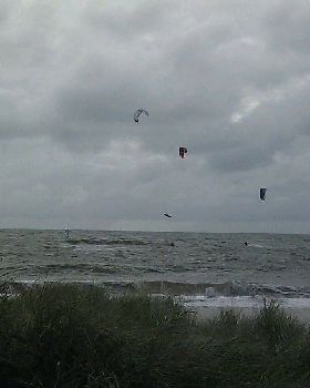 Seacliff5
