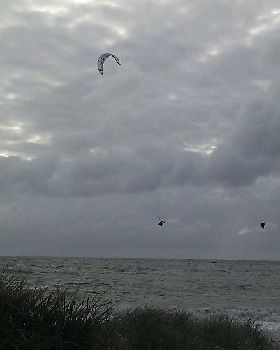 Seacliff6
