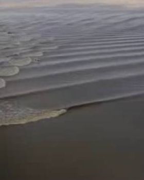 wave1