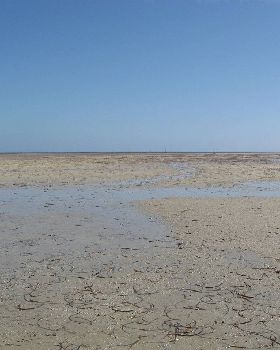 Parham at low tide