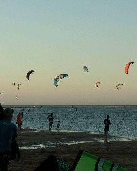 20110423-DSC 0775