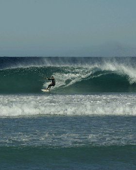desert windz