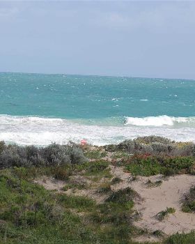 triggs 20kn gusty sw